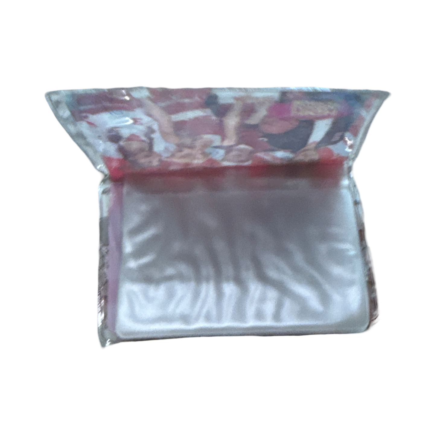 High School Musical ID Holder/Photo Album